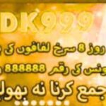 DK999 game