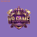 V9 Game